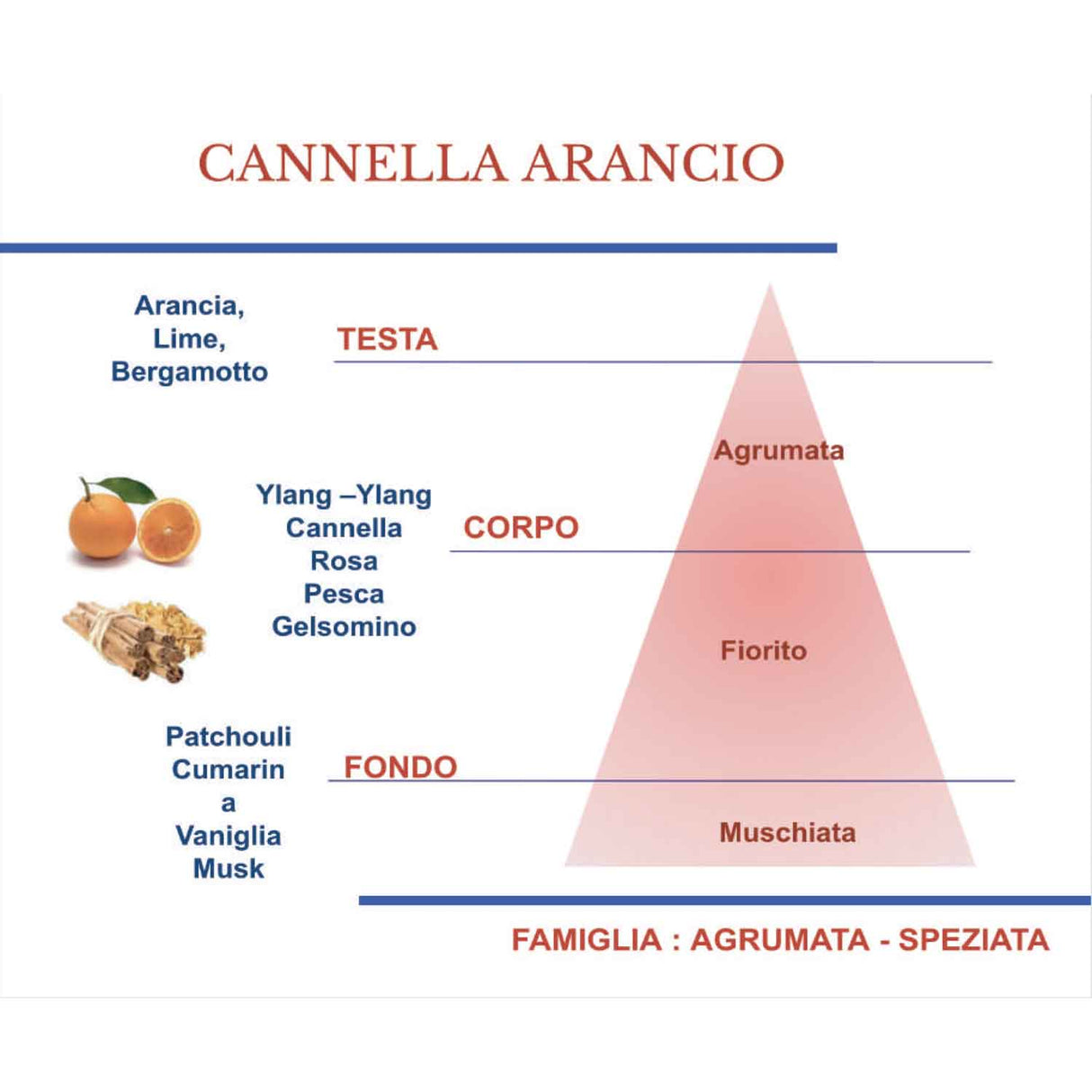 HYPNO CASA - Profumatore Diffusore con Bastoncini Cannella e Arancio Eco 100ml