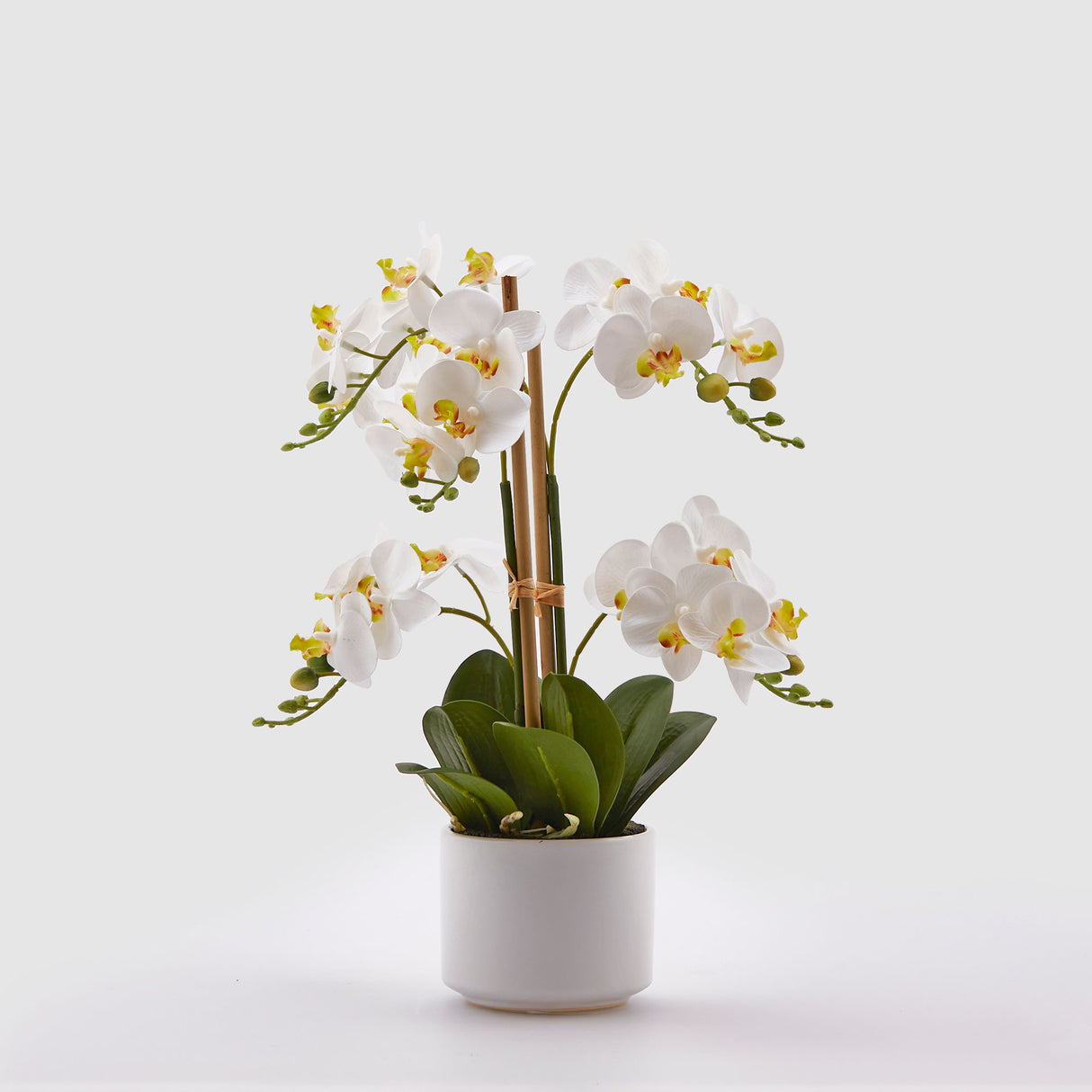 EDG Enzo De Gasperi Orchidea Phalaenopsis Artificiale con Vaso 23 Fiori 38cm Bianco