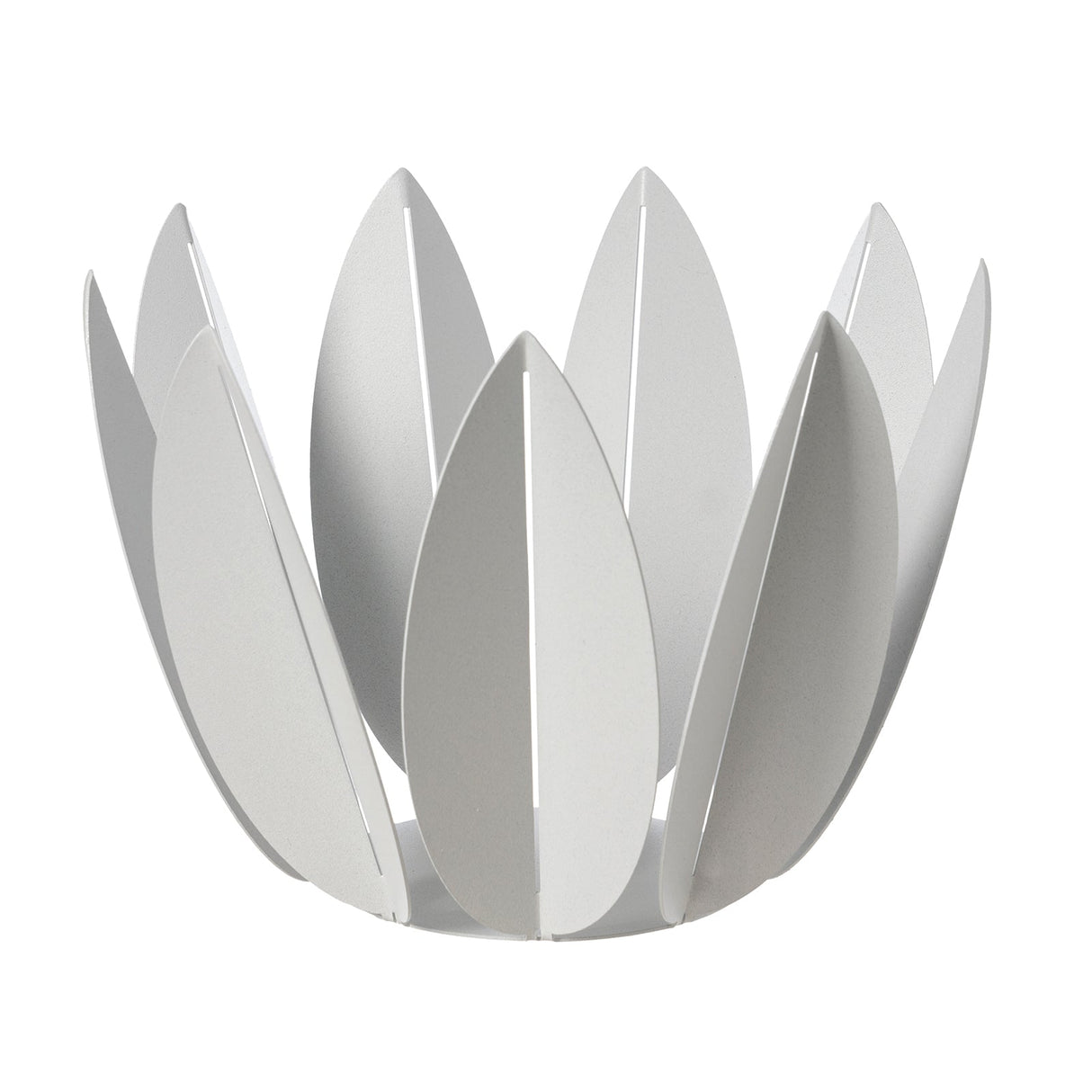 ARTI & MESTIERI Agrumiera Ficus Bianco Marmo