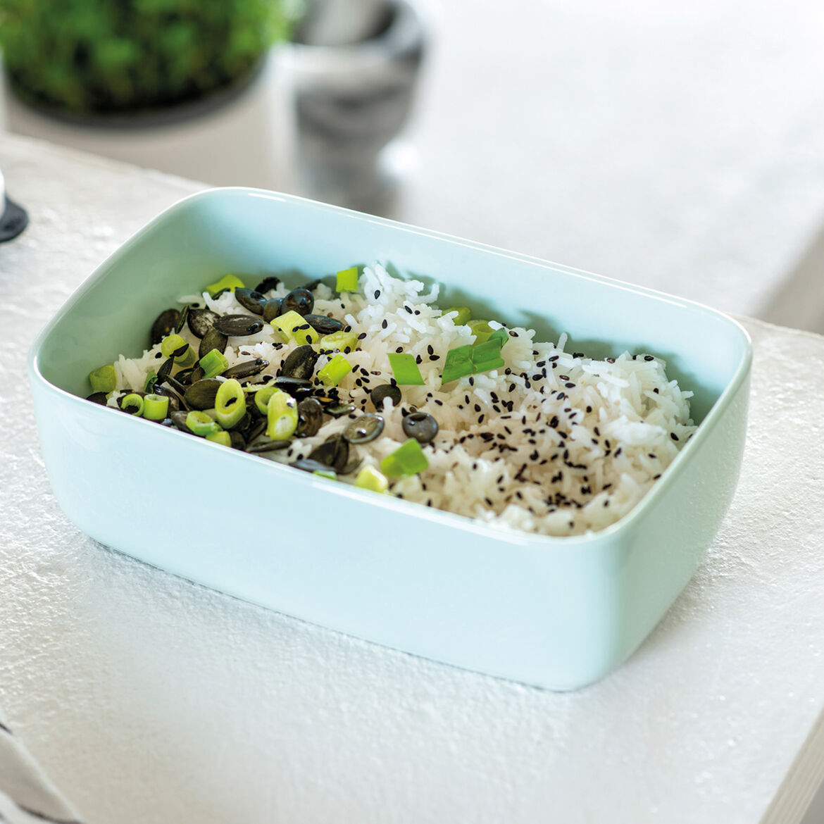 VILLEROY & BOCH - ToGo&ToStay Porta Pranzo 20x13x7,5cm Verde