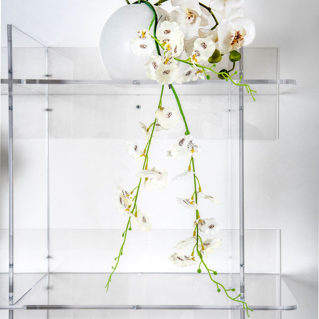 iPLEX Atmosfera 3 Libreria in PMMA 180x180cm Trasparente Made in Italy