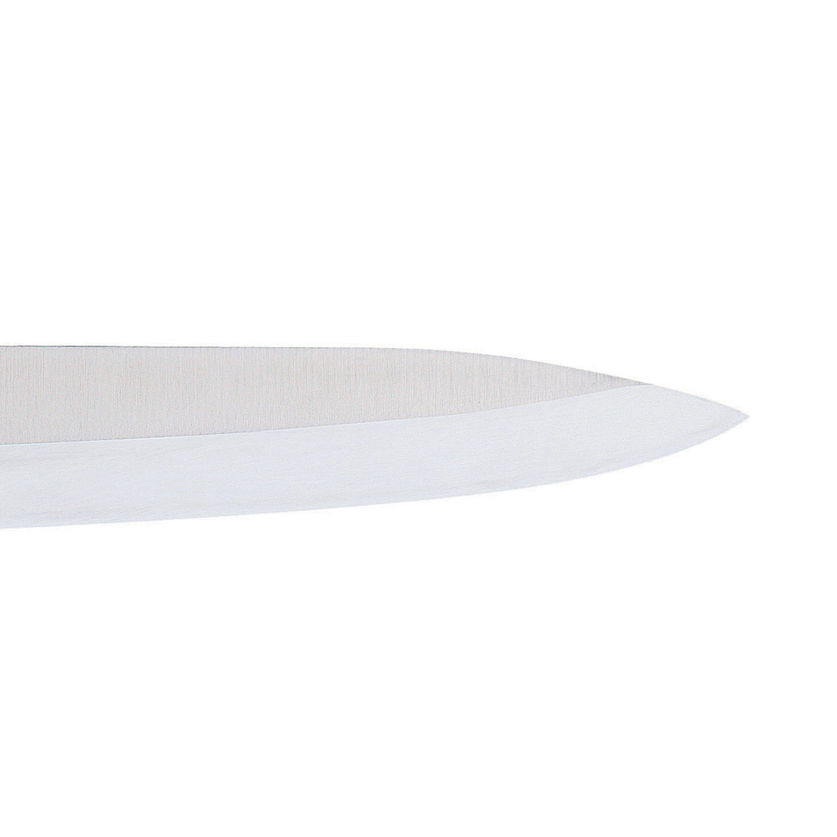 GLOBAL Coltello Sashimi Yanagi 25cm in Acciaio Inox Cromova 18 G-11R