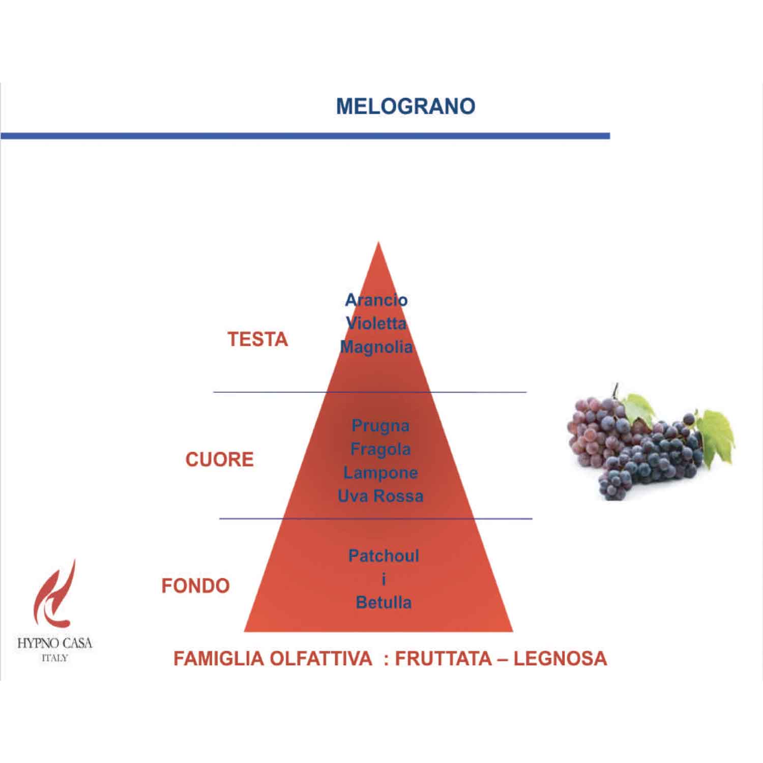 HYPNO CASA Diffusore a Bastoncini con Fiore Bianco Rosa 100ml Melograno