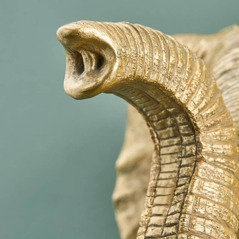 WERNS Lampada da Parete Elefante Jumbo 43x47cm Oro Resina