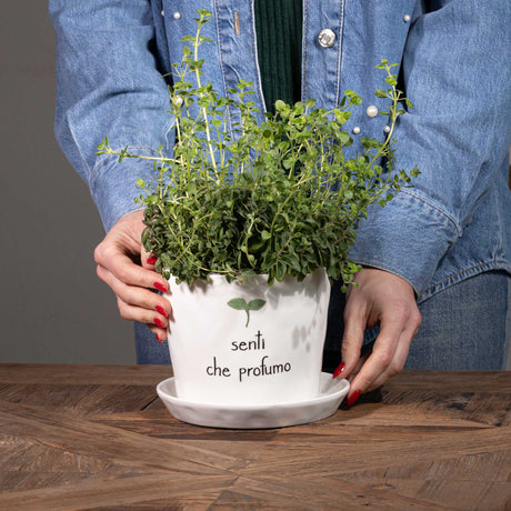 SIMPLE DAY Vaso con Sottovaso Senti che Profumo 12,5x15cm Gres