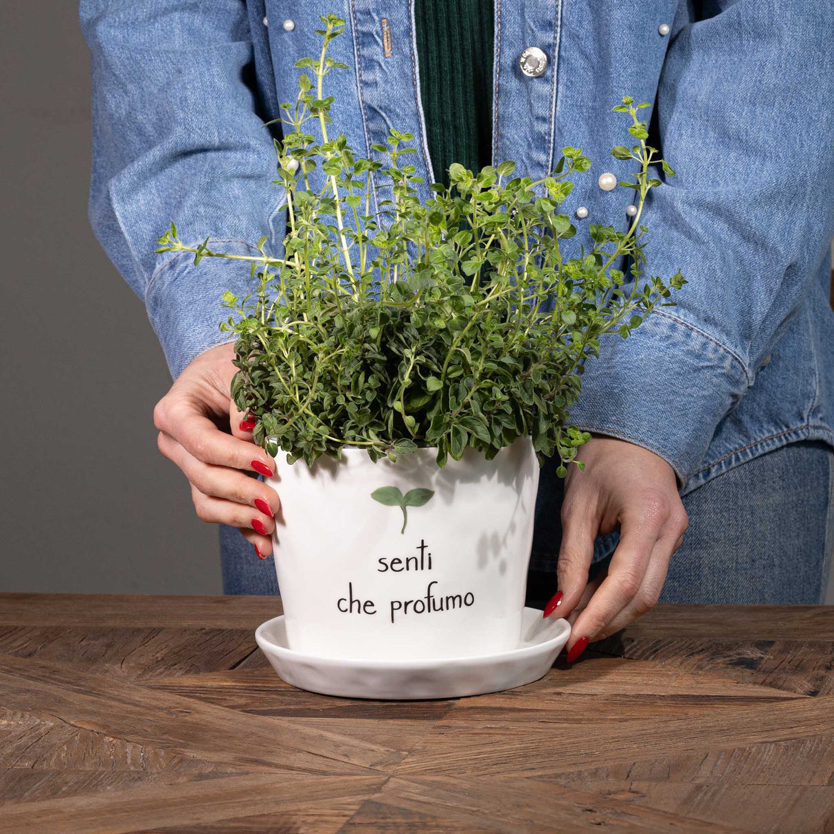 SIMPLE DAY Vaso con Sottovaso Senti che Profumo 12,5x15cm Gres