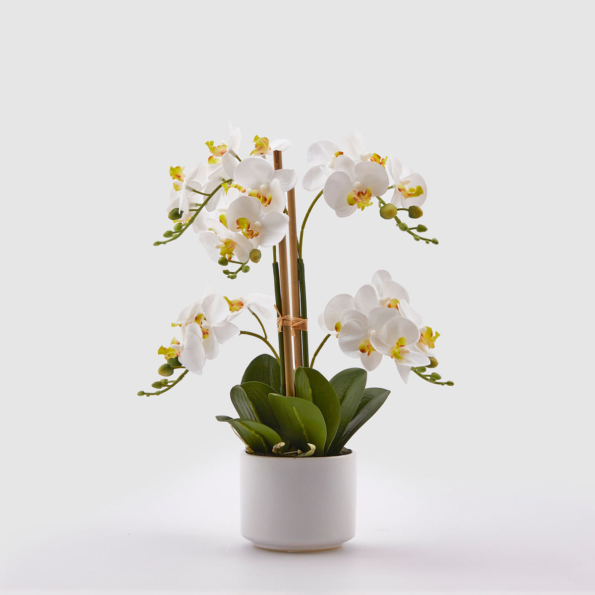 Pianta Artificiale Orchidea In Vaso - 55cm, Bianca, Realistica - 2
