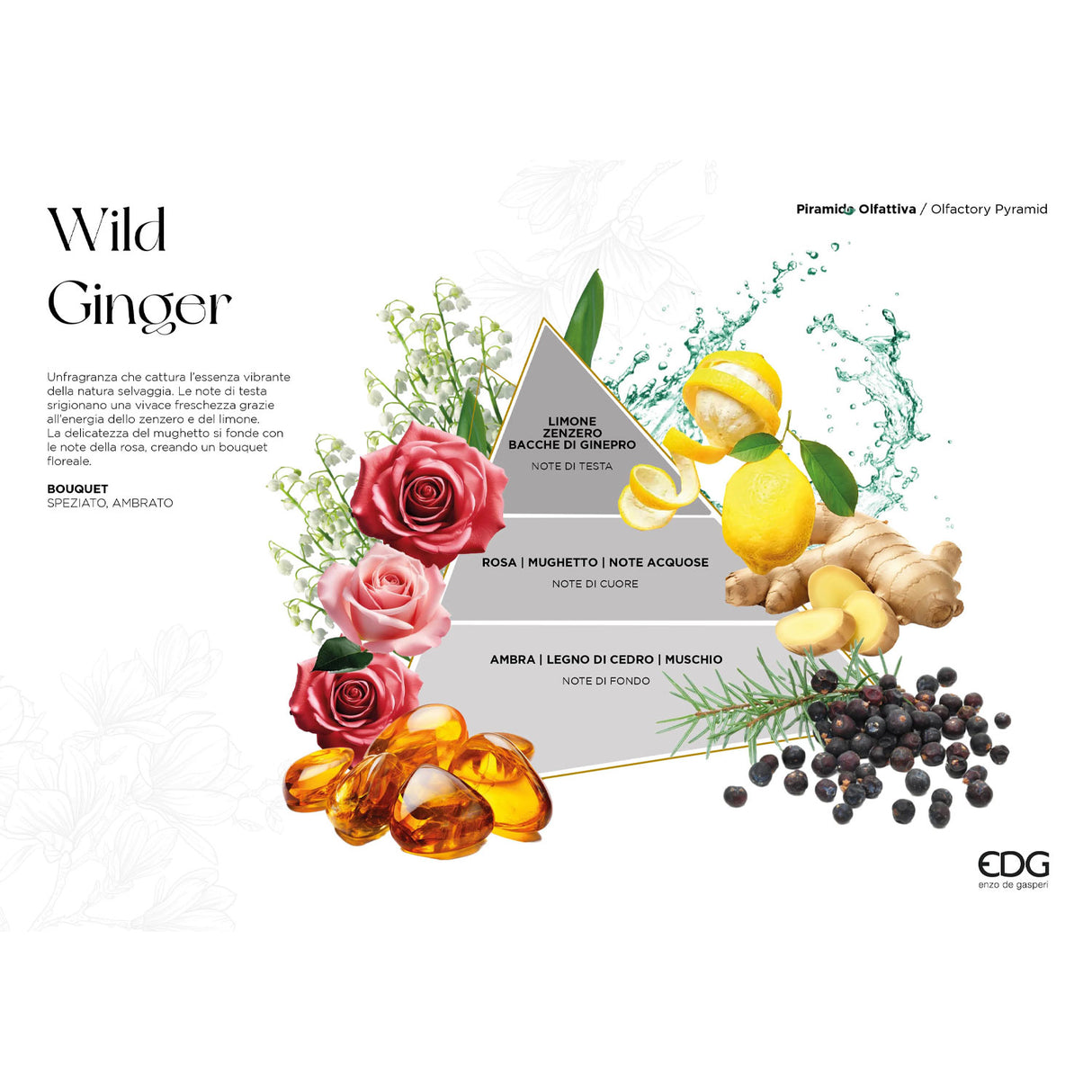 EDG Enzo De Gasperi Profumatore Diffusore con Bastoncini Bottiglia Deluxe 500ml Wild Ginger