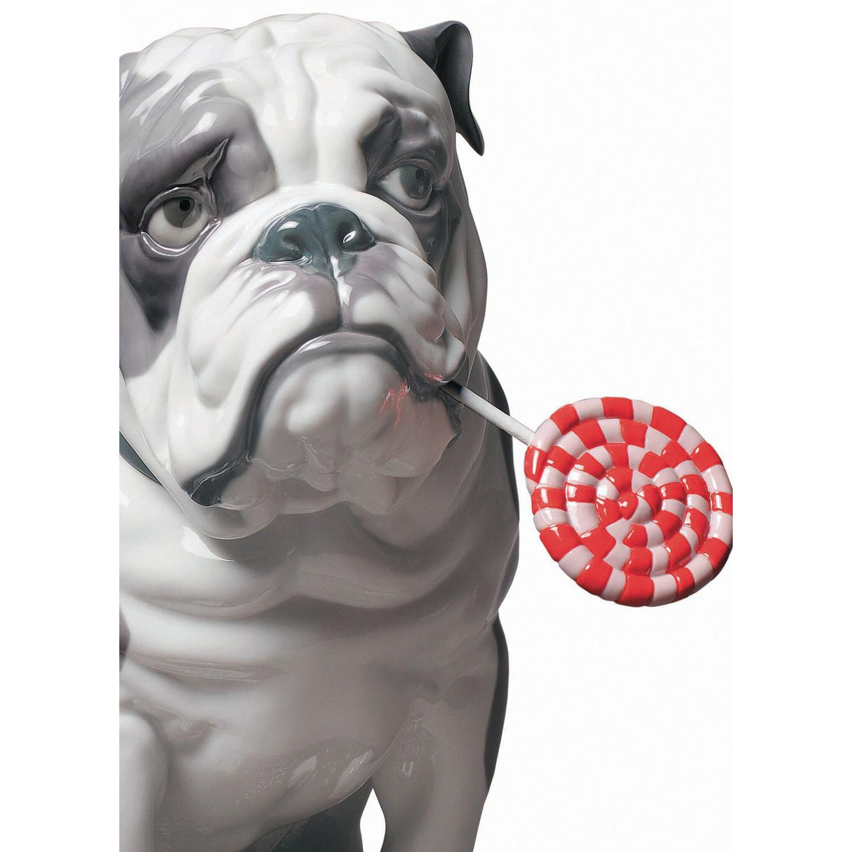 Lladró Figurina Cane Bulldog con Leccalecca 33x33cm Porcellana