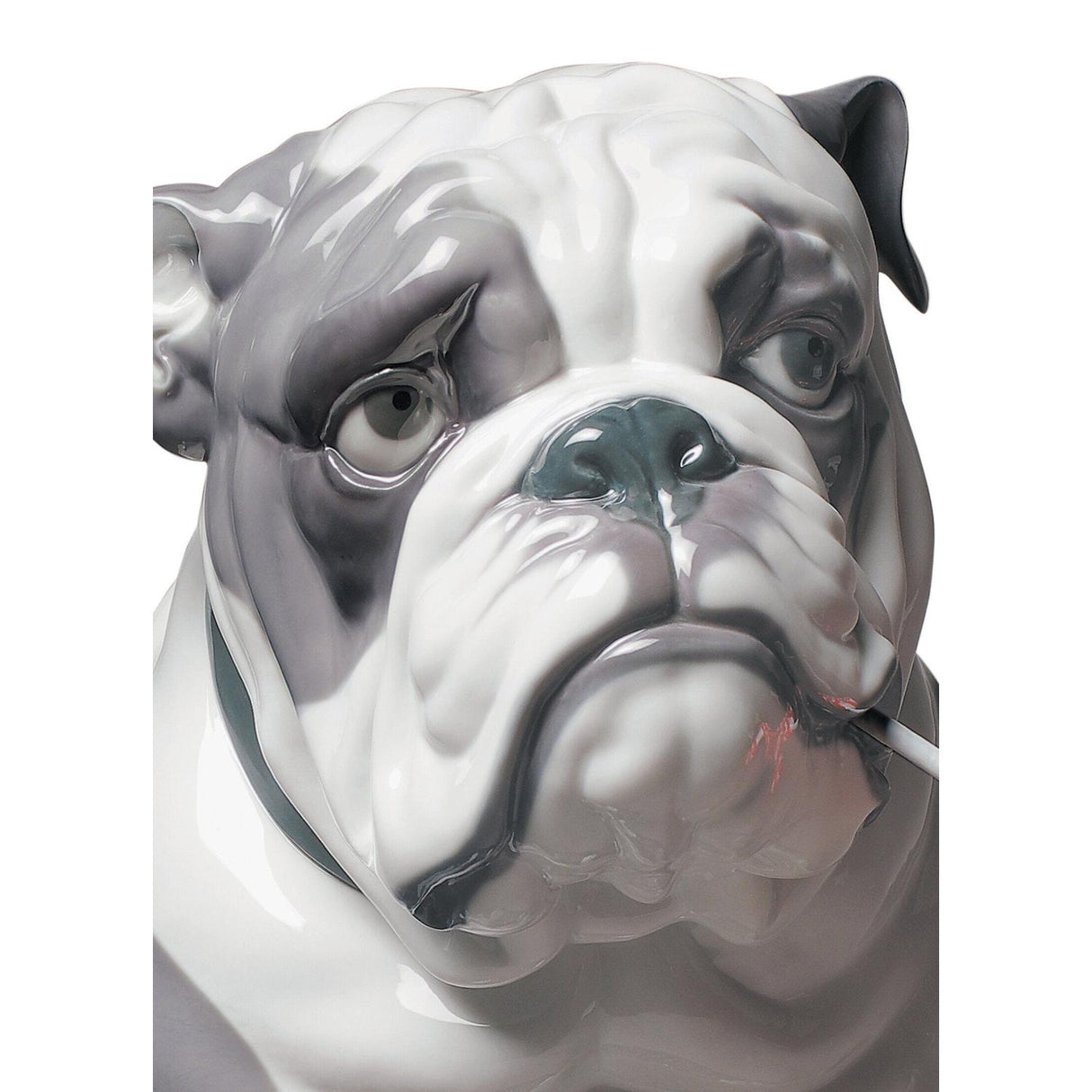Lladró Figurina Cane Bulldog con Leccalecca 33x33cm Porcellana