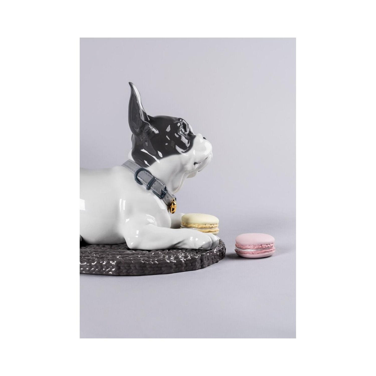 Lladró Bulldog Francese con Macarons 24x29cm Porcellana