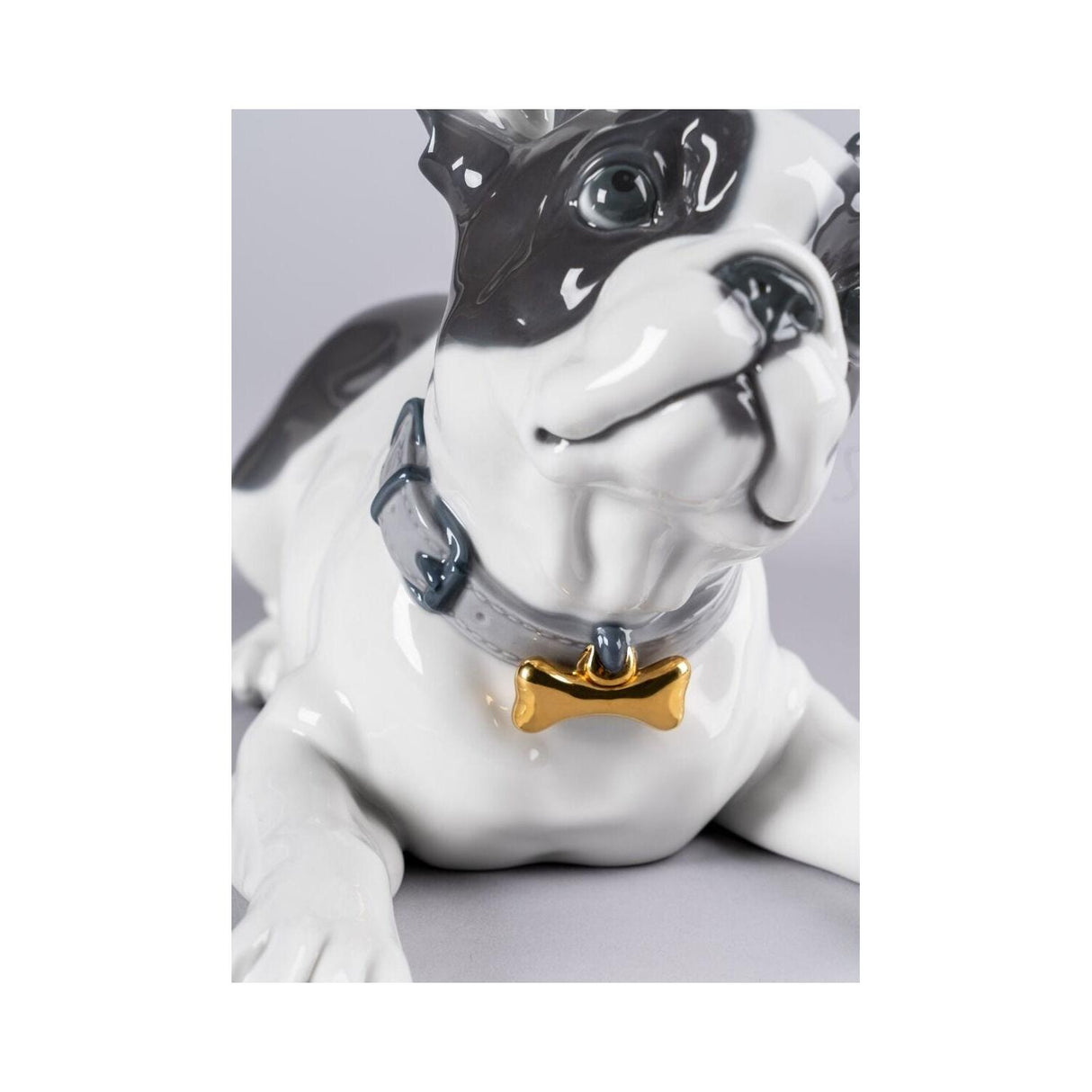 Lladró Bulldog Francese con Macarons 24x29cm Porcellana