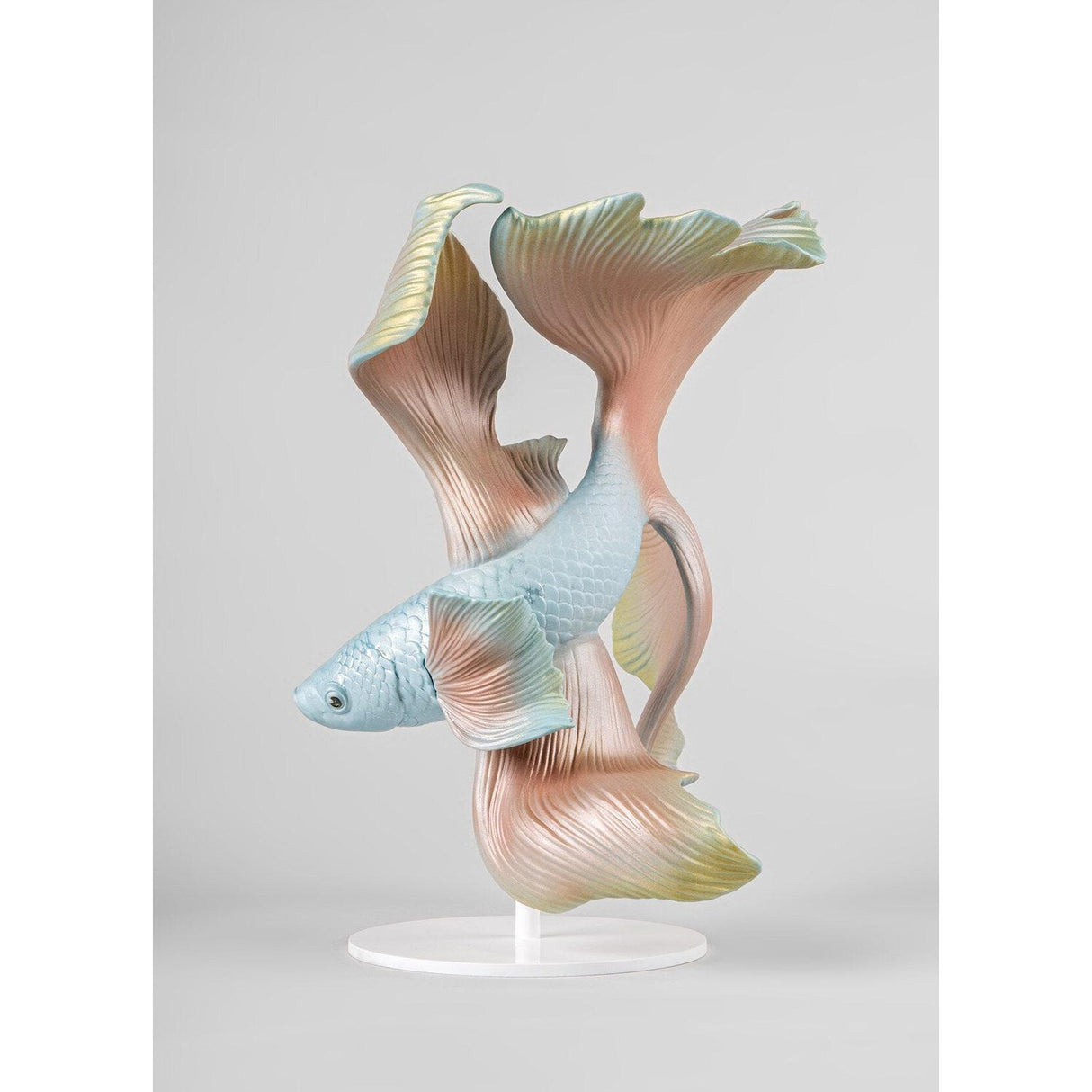 Lladró Scultura Pesce Betta Sinistra 30x28cm Porcellana