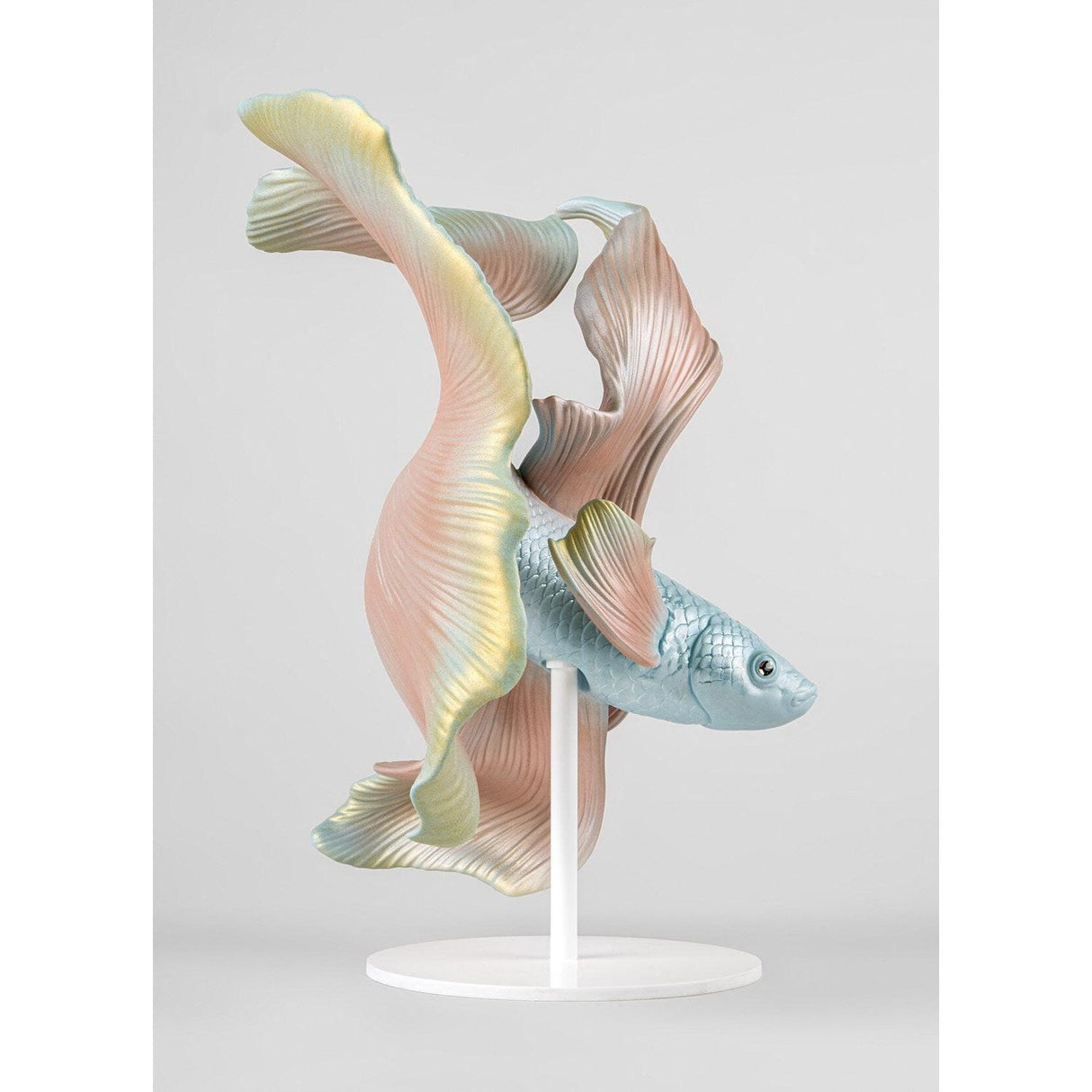 Lladró Scultura Pesce Betta Sinistra 30x28cm Porcellana