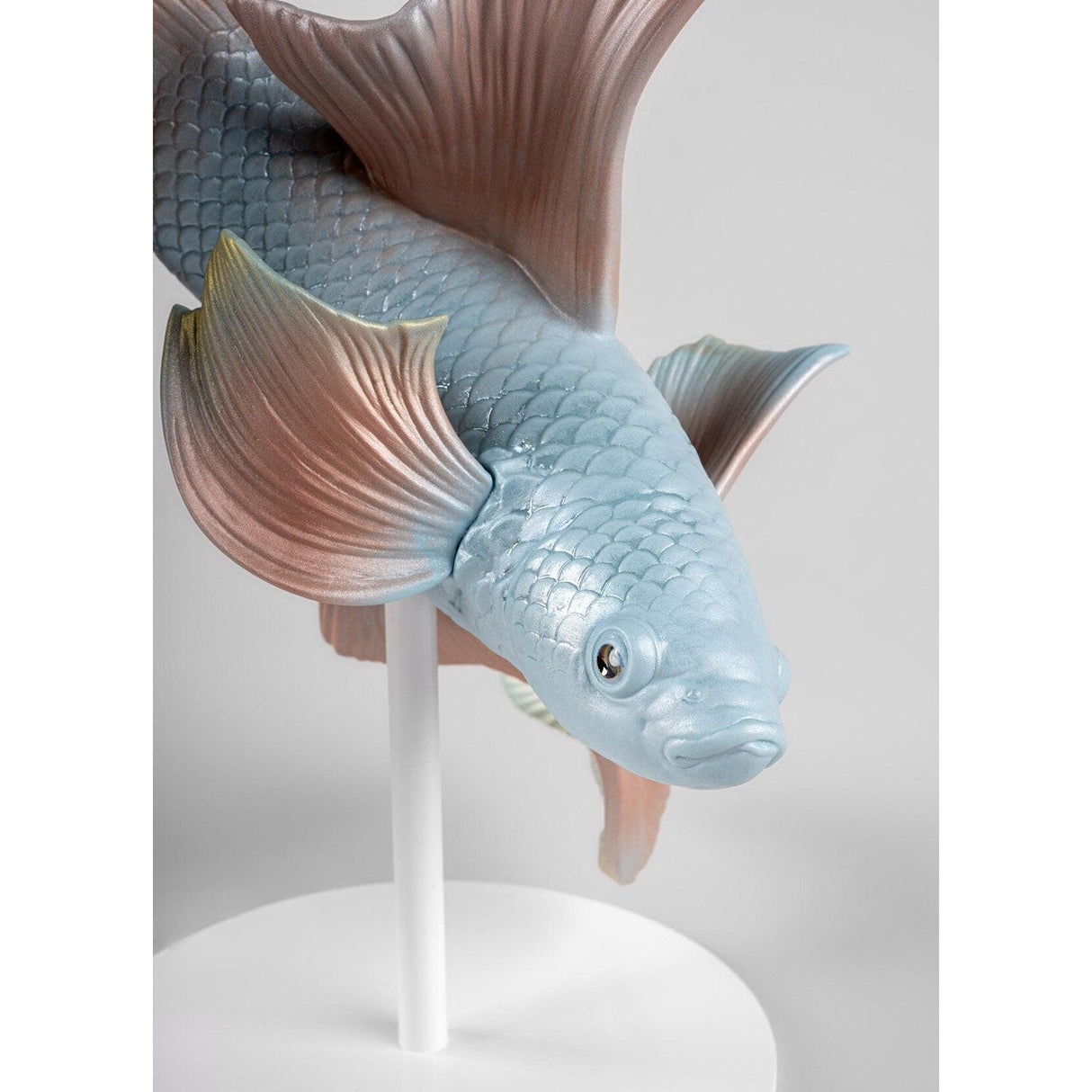Lladró Scultura Pesce Betta Sinistra 30x28cm Porcellana