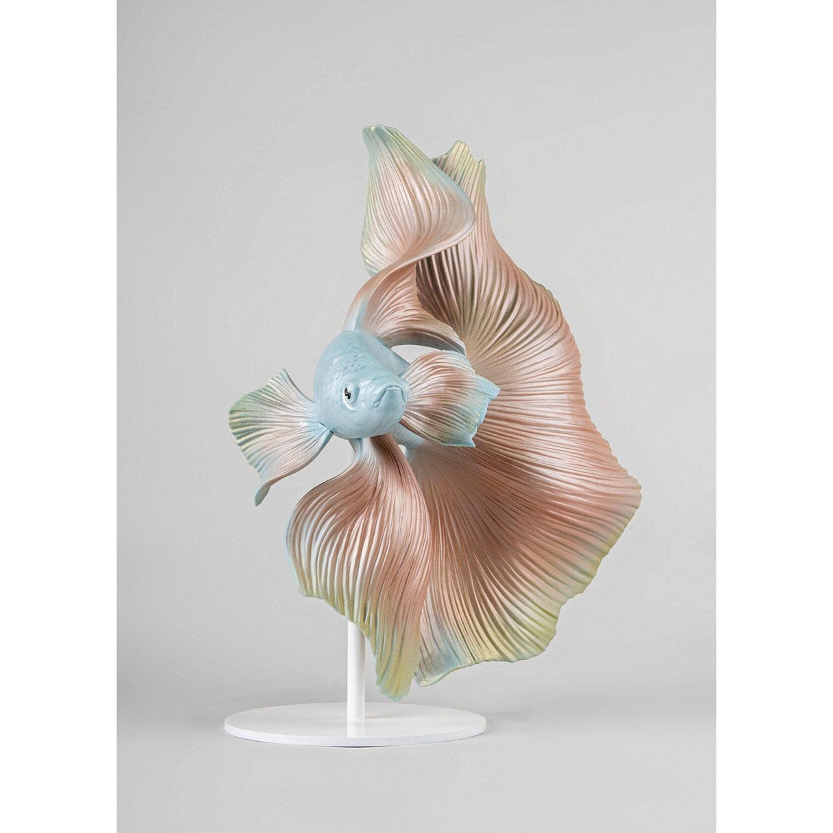 Lladró Scultura Pesce Betta Destra 35x31cm Porcellana