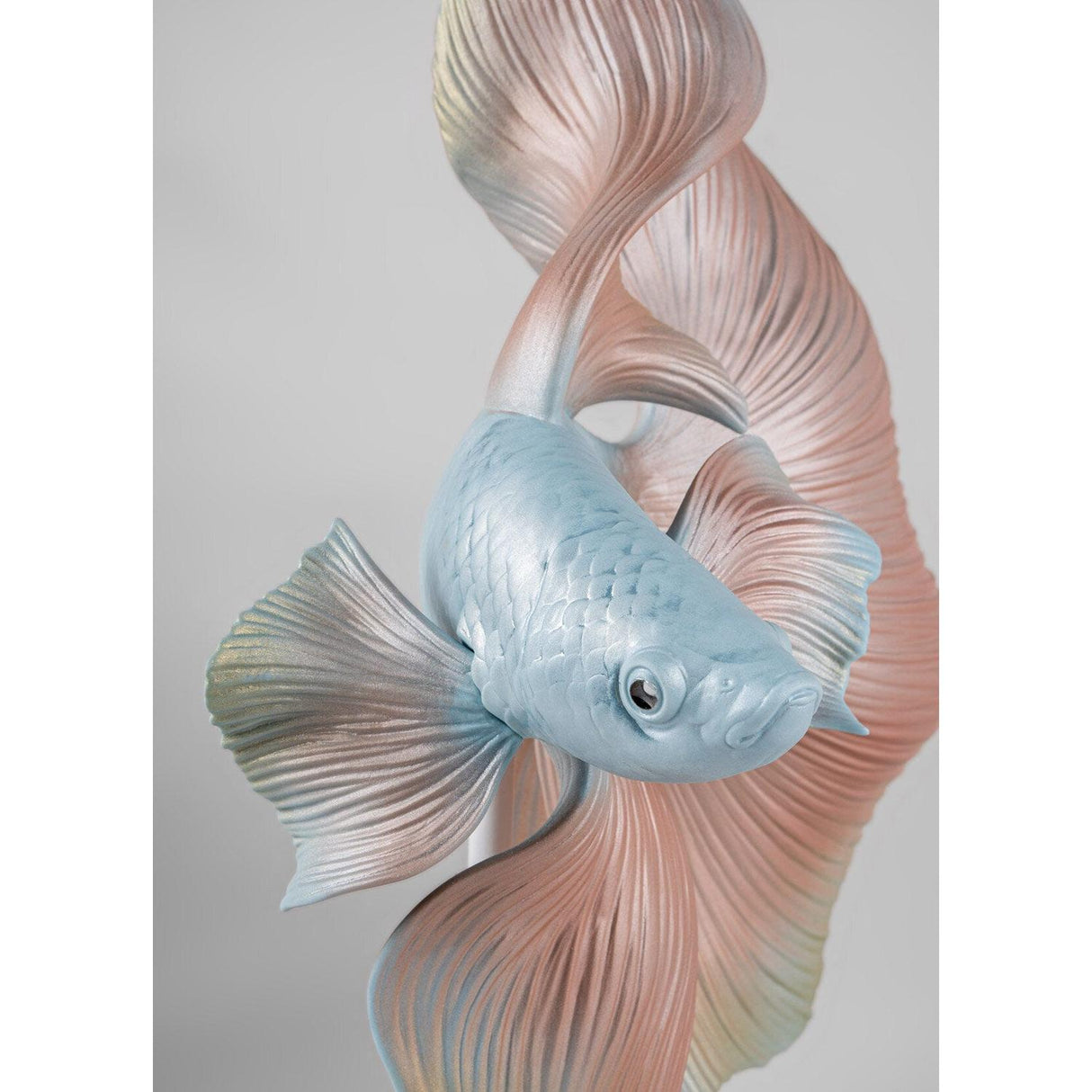 Lladró Scultura Pesce Betta Destra 35x31cm Porcellana