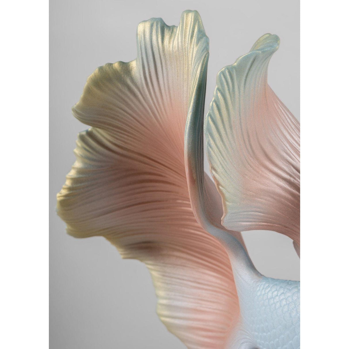 Lladró Scultura Pesce Betta Destra 35x31cm Porcellana