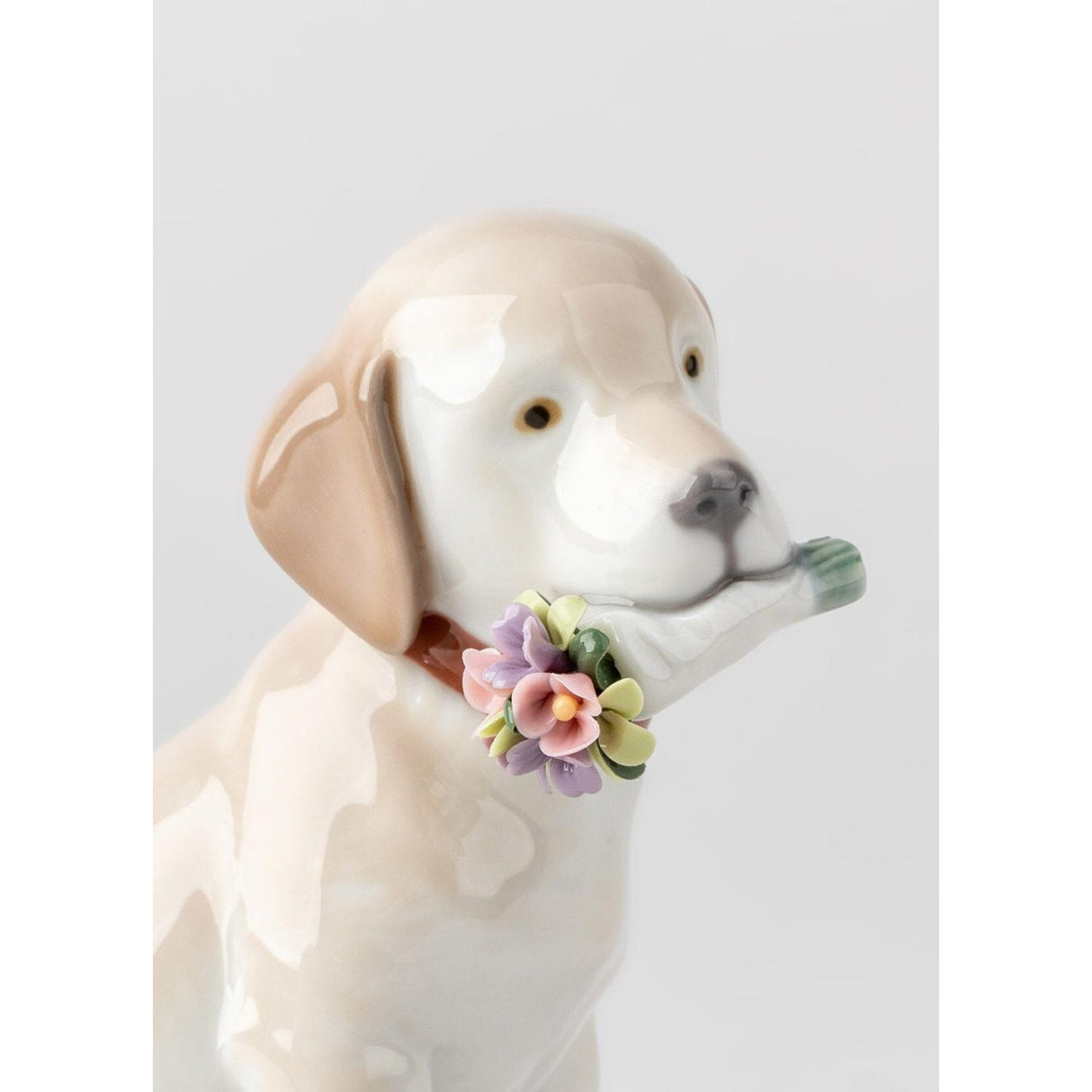 Lladró Figurina Cane Questi Fiori Sono per Te 12x7cm Porcellana