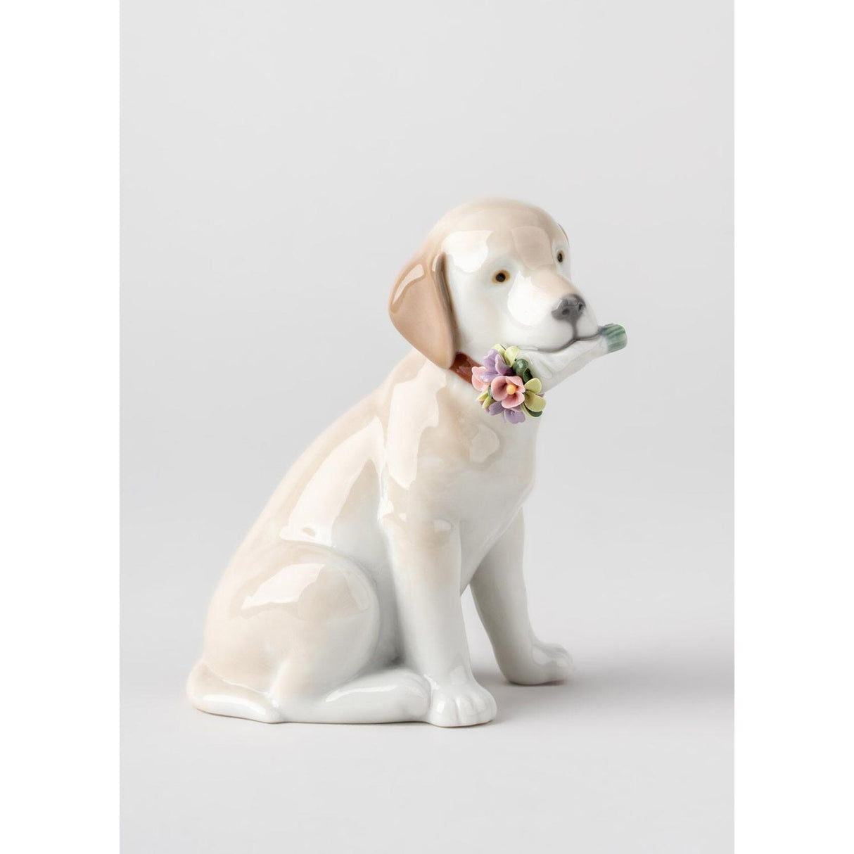 Lladró Figurina Cane Questi Fiori Sono per Te 12x7cm Porcellana