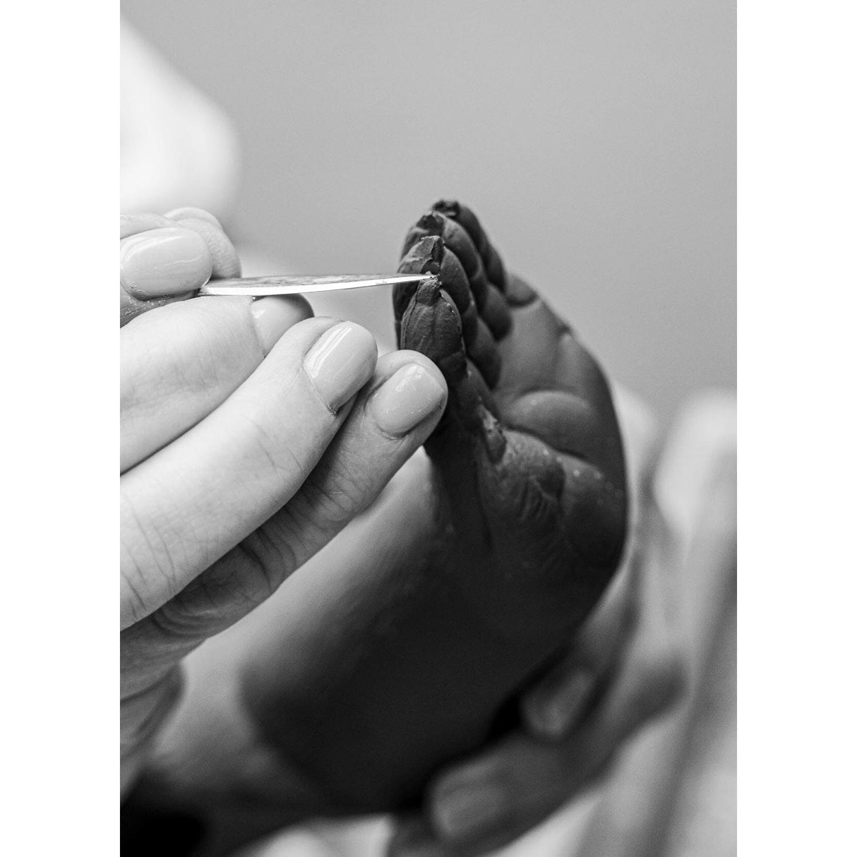 Lladró Scultura Koala Nero Oro Serie Limitata 34x21cm Porcellana