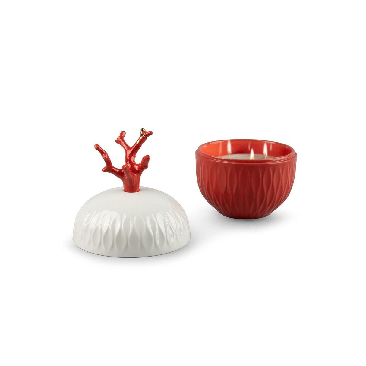 LLADRO' Candela Coral Aroma Mediterrean Beach 22x14cm Porcellana