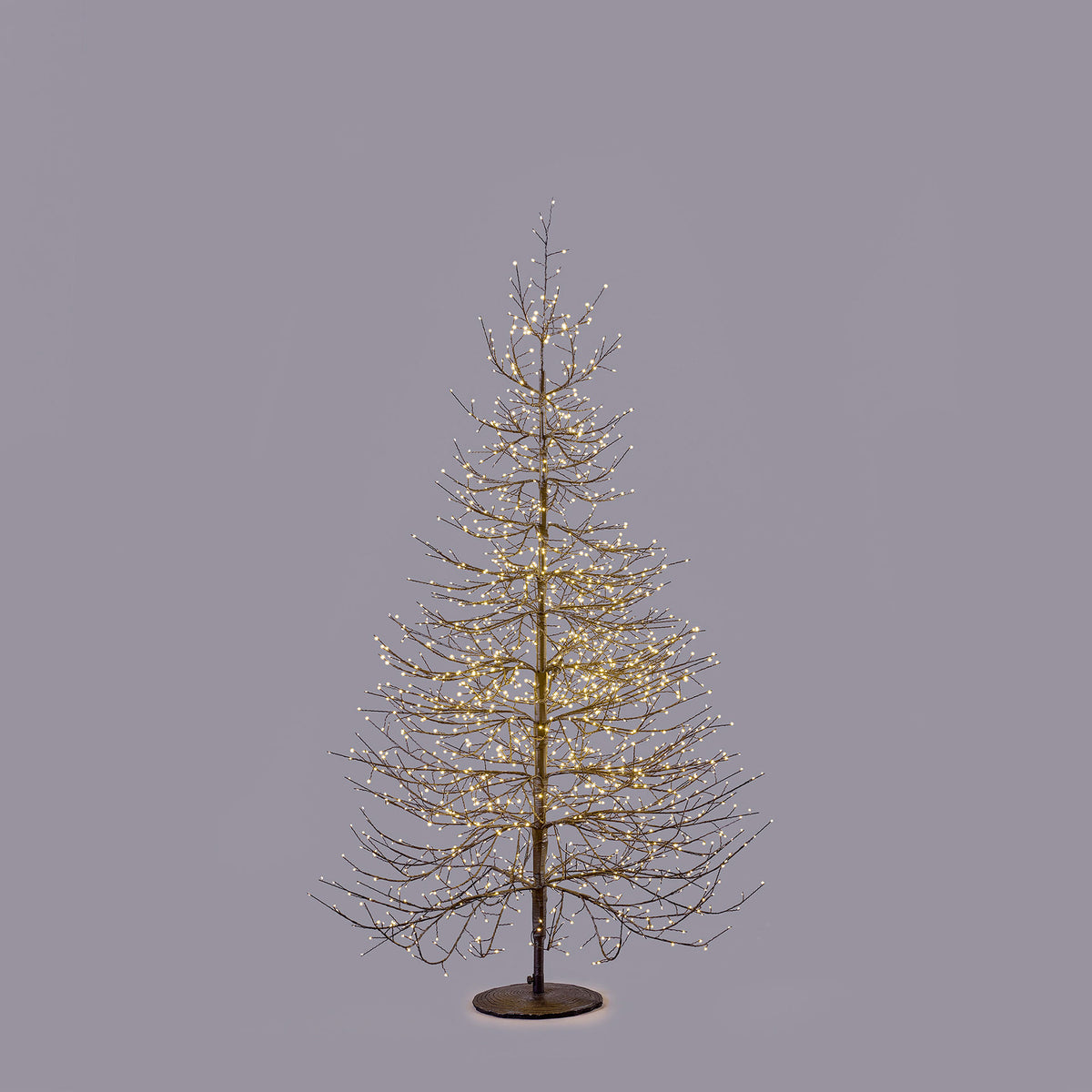 EDG Enzo De Gasperi Faggio Rich Albero di Natale con 1940 Microled 180x115cm Nero