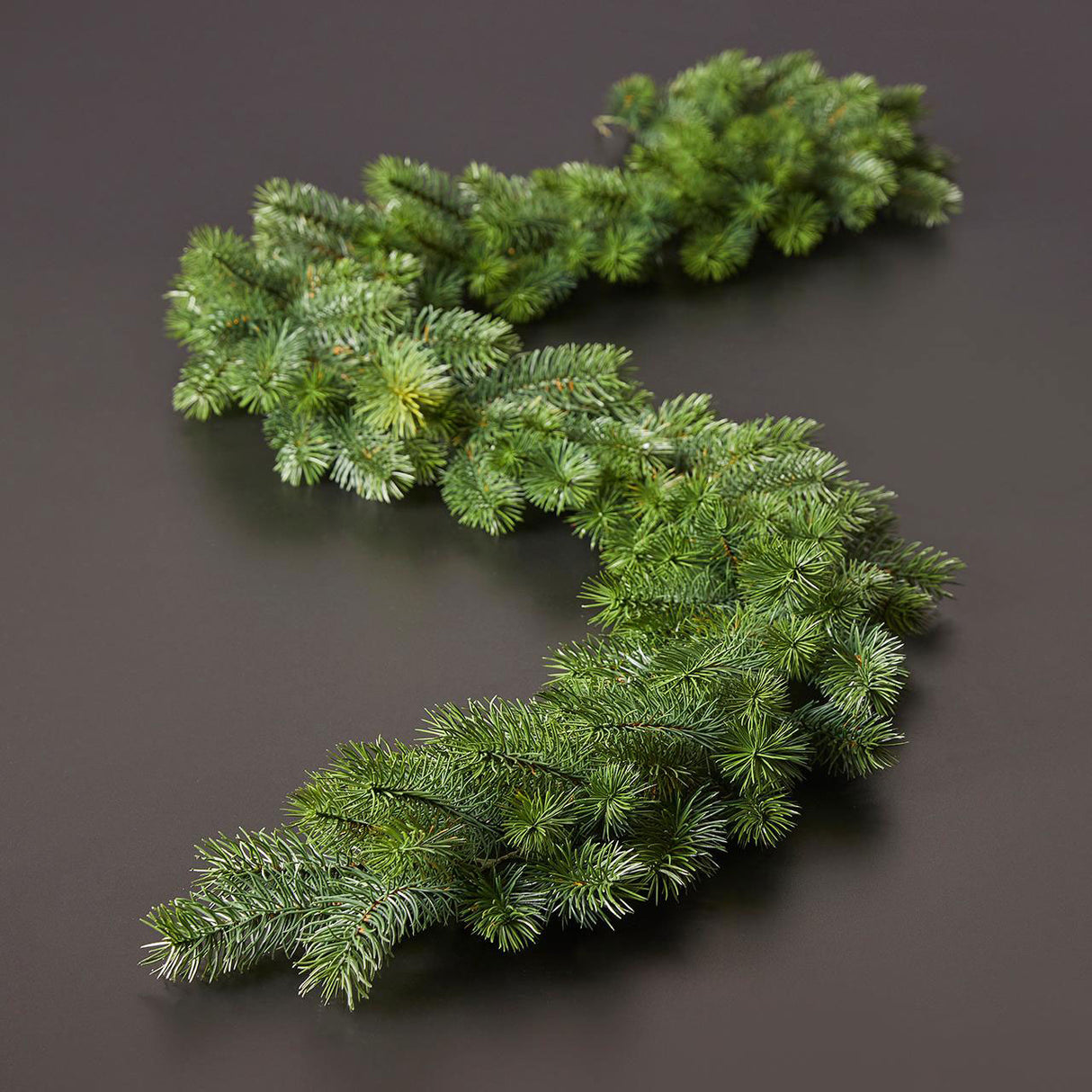 EDG Enzo De Gasperi Festone Boa Pino 182cm 162 Rami