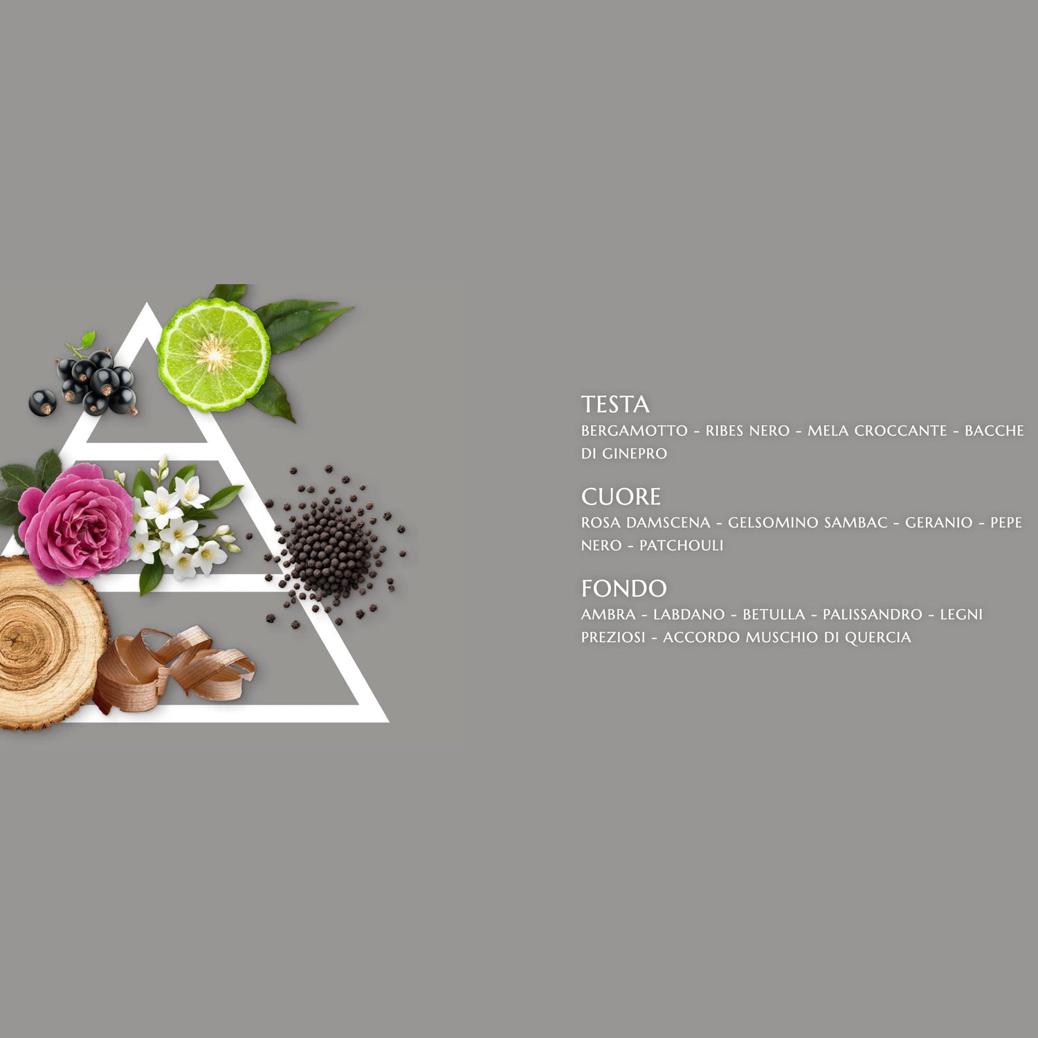 HYPNO CASA Ventaglio Profumato Gattini 24cm Tessuto e Legno