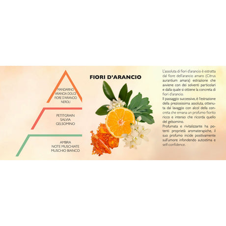 HYPNO CASA Diffusore con Bastoncini Fiori d'Arancio Assoluta 100ml