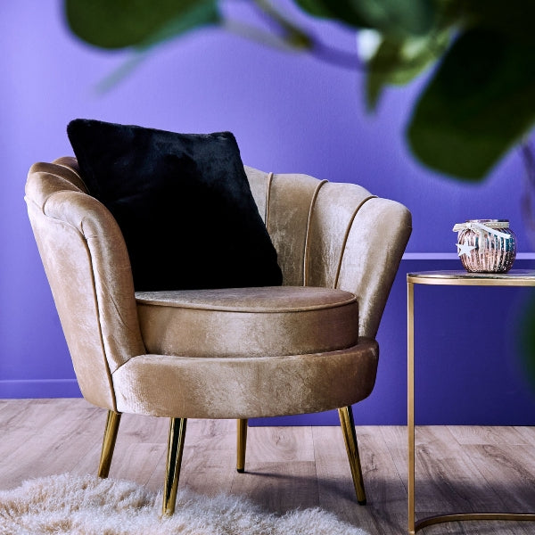 WERNS Armchair Shell Audrey Champagne 82x75x79cm Velvet