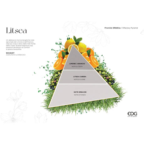 EDG Enzo De Gasperi Ricarica Refill Lux Profumatore Diffusore 250ml Litsea