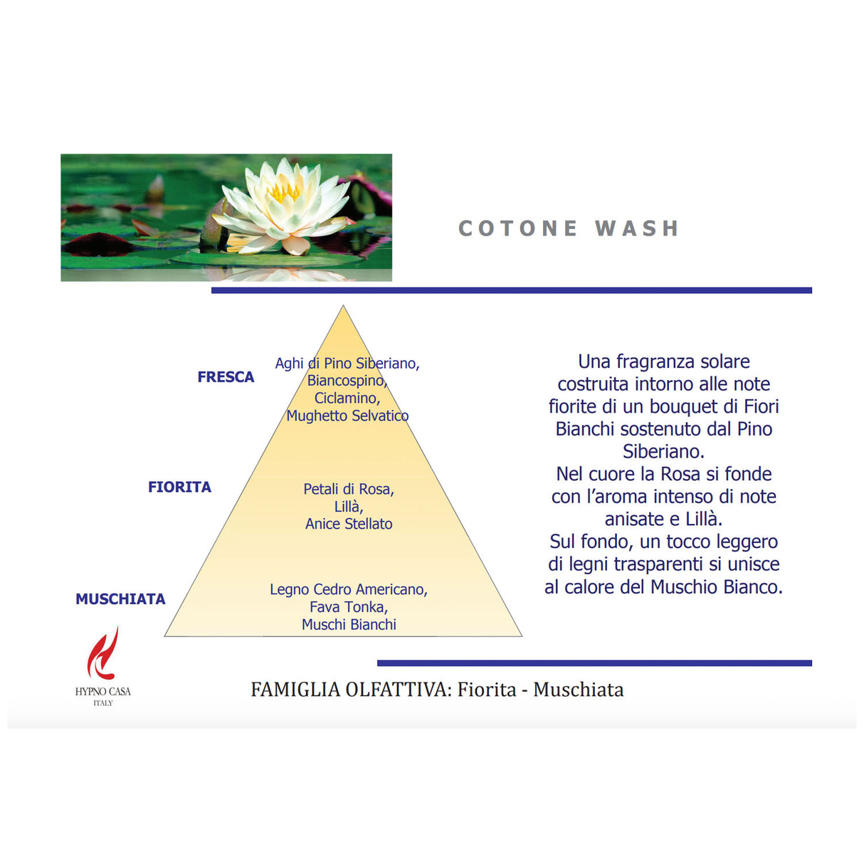 HYPNO HOME Washing Machine Laundry Perfume 200ml Cotton Wash