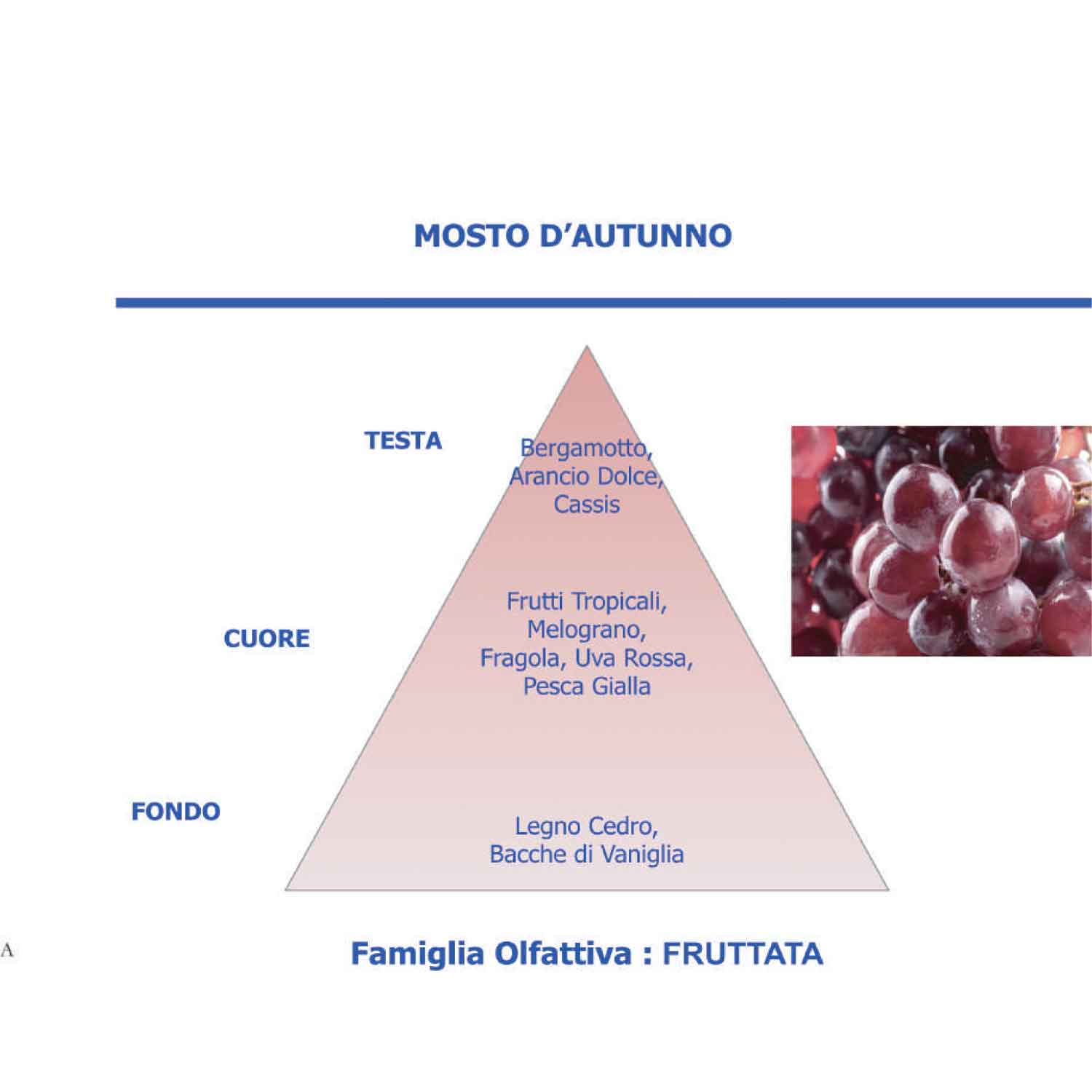 HYPNO CASA Refill Refill for Catalytic Lamp 500ml Autumn Must