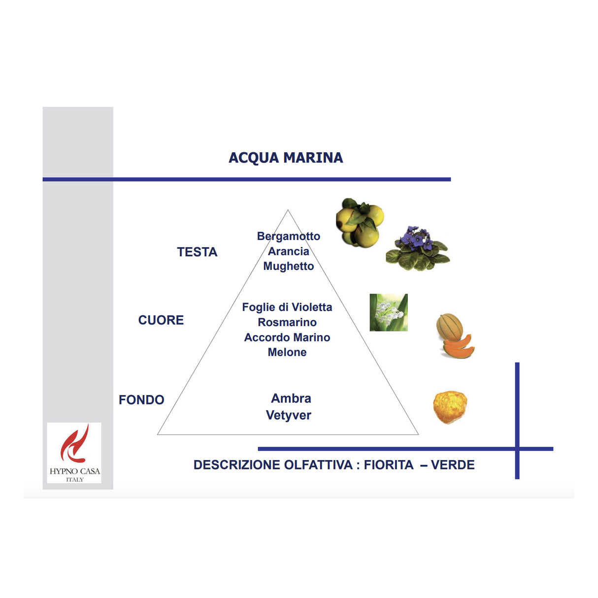 HYPNO CASA Diffusore con Bastoncini Sagoma Albero della Vita 50ml Acqua Marina