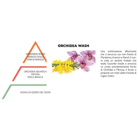 HYPNO CASA Profumo Bucato Lavatrice 200ml Orchidea Wash