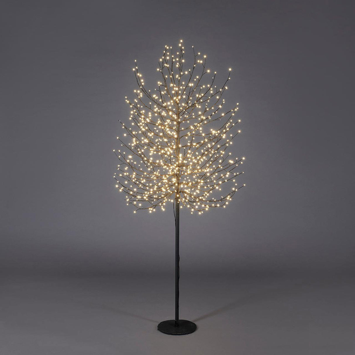 EDG Enzo De Gasperi Faggio Albero di Natale Luminoso con 900 LED Nero 180cm Metallo