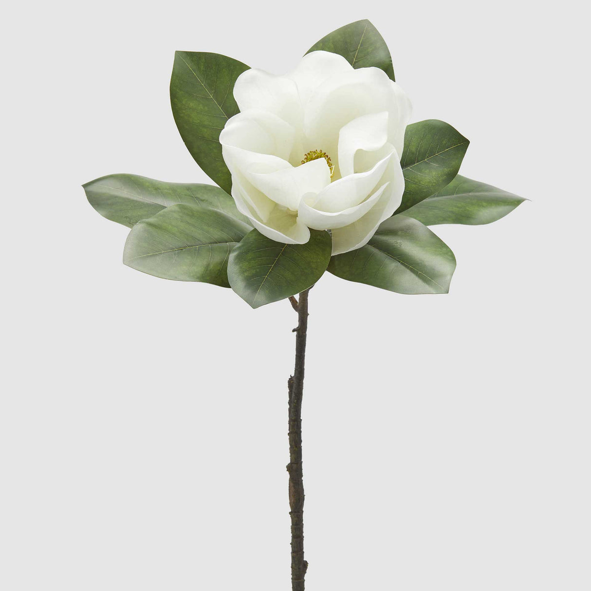 EDG Enzo De Gasperi Ramo Magnolia Artificiale con Foglie 70cm Bianco