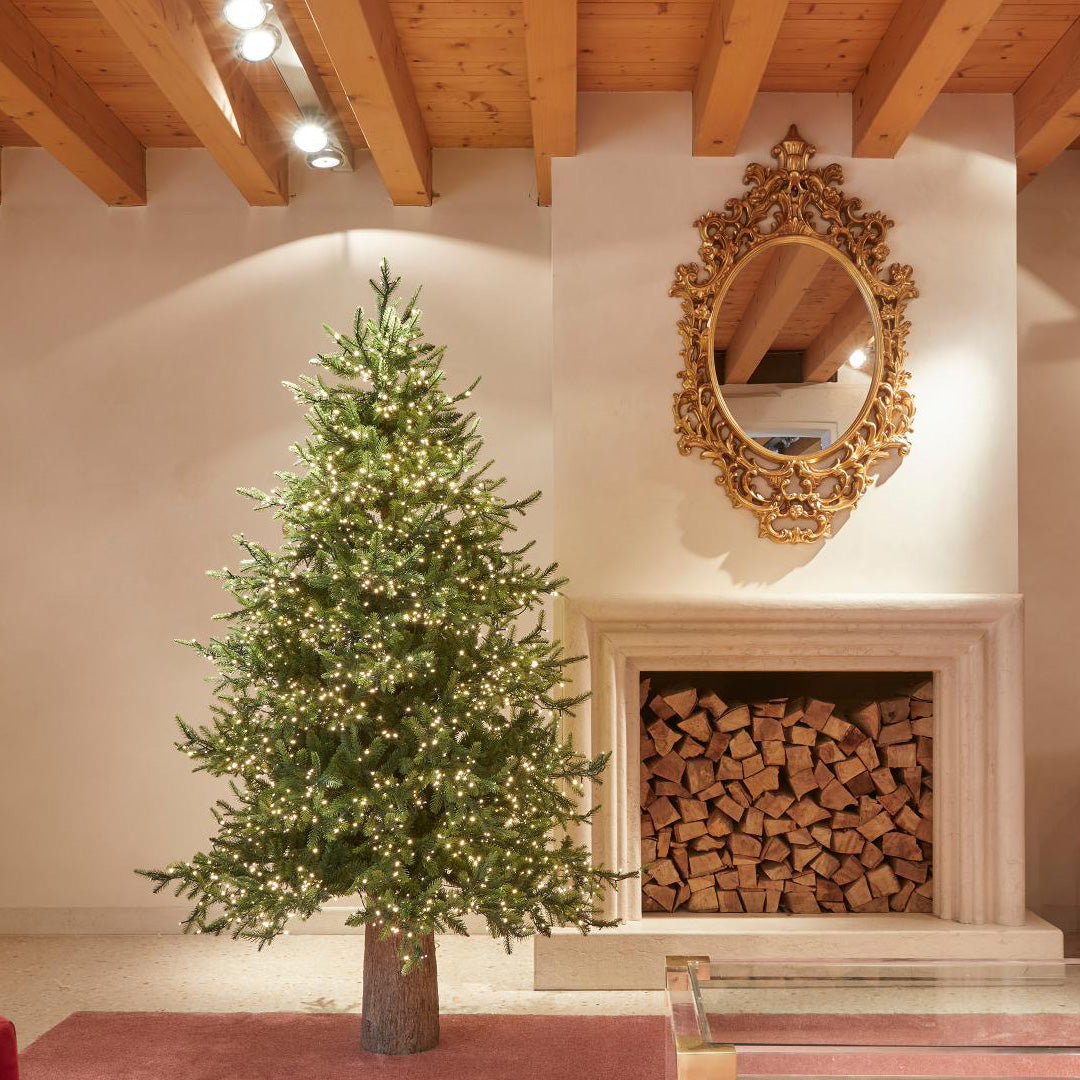 Alberi di Natale