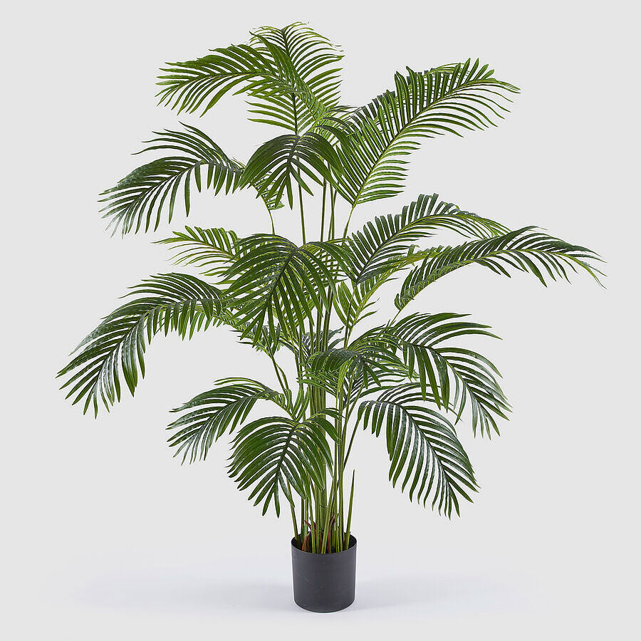 EDG Enzo De Gasperi Artificial Plant Areca Palm 170cm Green