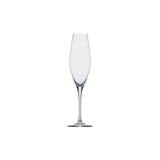 ROSENTHAL Fuga Glatt Bicchiere Flute Coppa Spumante H25cm Cristallo