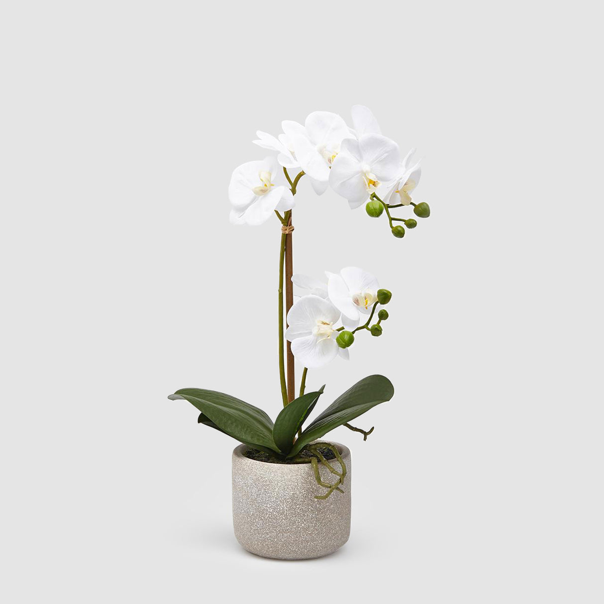 EDG Enzo De Gasperi Orchidea Phalaenopsis Artificiale con Vaso 40cm Bianco
