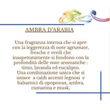 HYPNO CASA - Perfumer Diffuser with Sticks Amber of Arabia Eco 100ml