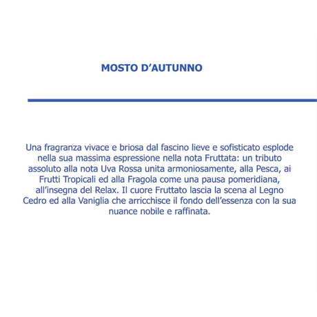HYPNO CASA - Profumatore Diffusore con Bastoncini Mosto D'Autunno Eco 100ml
