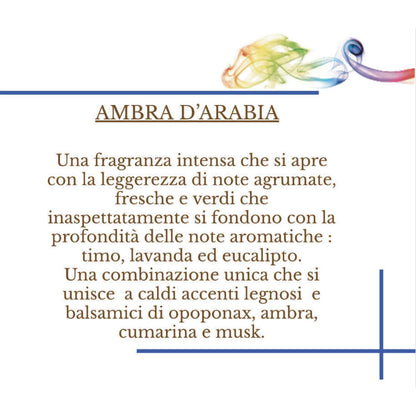 HYPNO CASA - Profumatore Diffusore con Bastoncini Ambra D'Arabia Eco 250ml