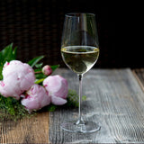 RIEDEL Veritas Riesling White Wine Glass Set 2 Pieces 409ml Crystal