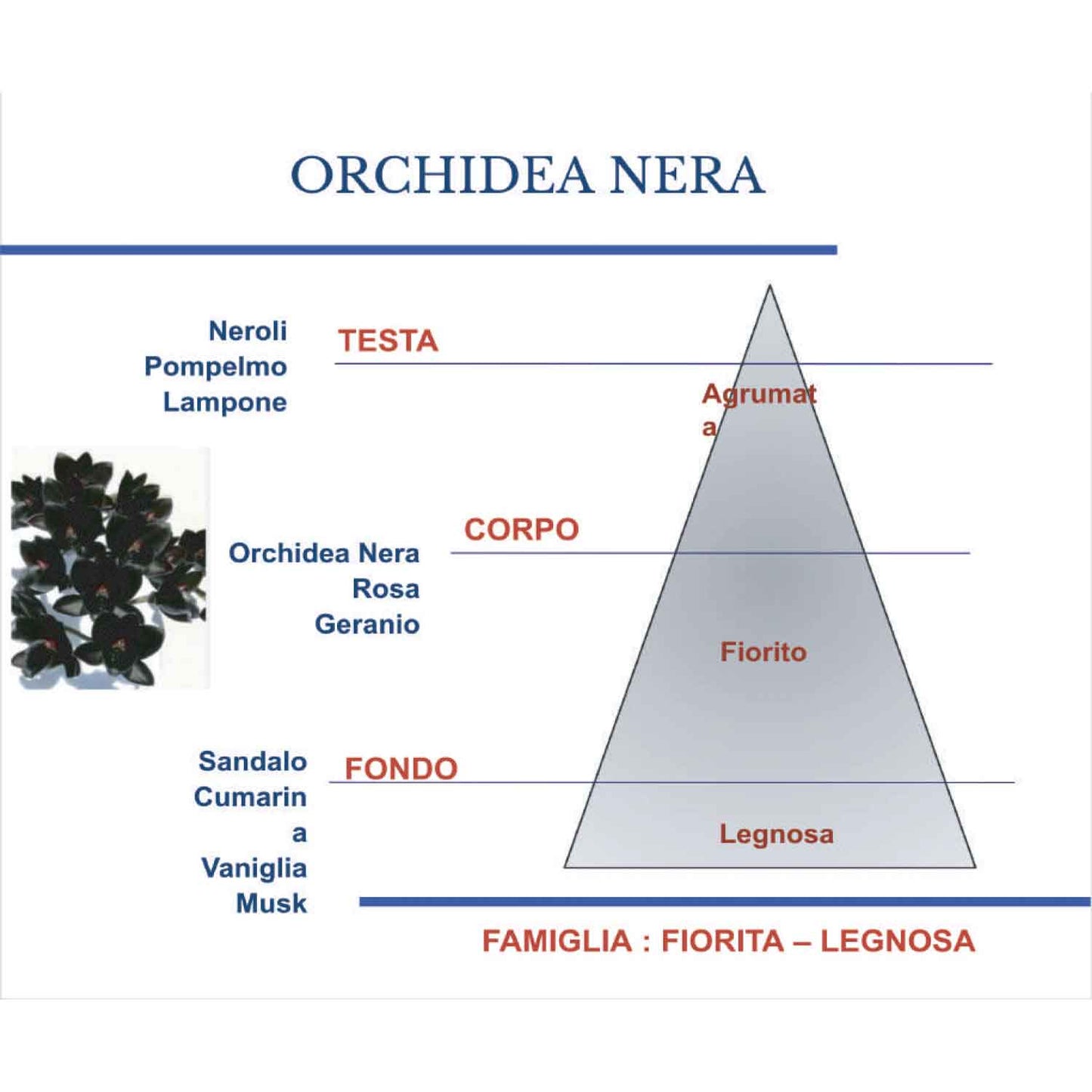 HYPNO CASA - Profumatore Diffusore Ricarica Orchidea Nera Eco 1L