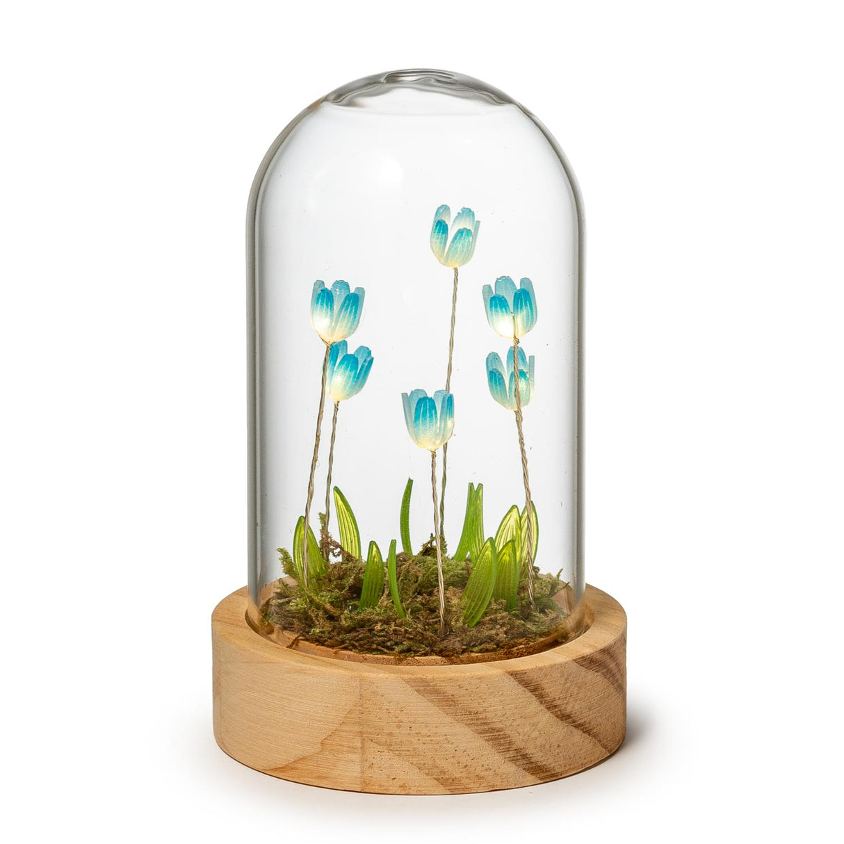 PALAIS ROYAL Cupola in Vetro con Fiori e LED 8x14cm Vetro Base Legno