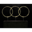 BIZZOTTO - Decorazione Luminosa Luminarie Luci di Natale 105 Microled