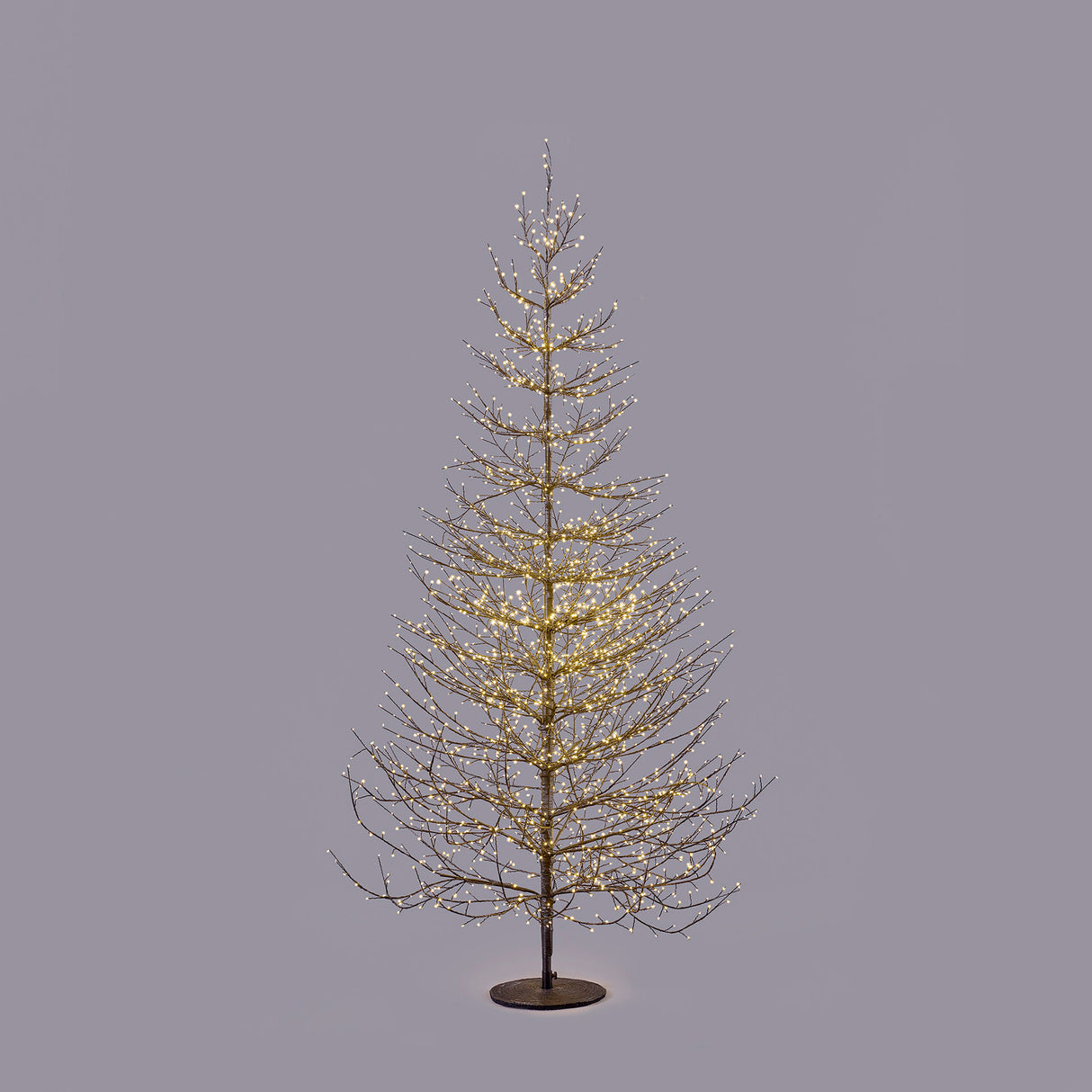 EDG Enzo De Gasperi Faggio Rich Albero di Natale con 2690 Microled 210x130cm Nero